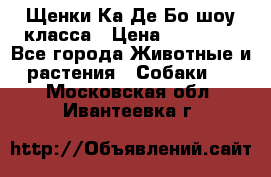 Щенки Ка Де Бо шоу класса › Цена ­ 60 000 - Все города Животные и растения » Собаки   . Московская обл.,Ивантеевка г.